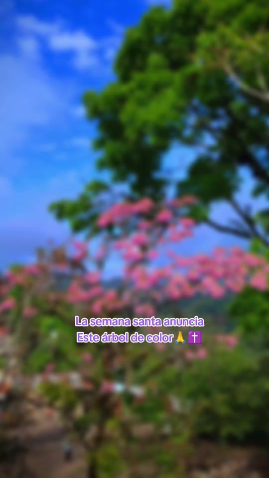 TikTok video thumbnail by maquins1