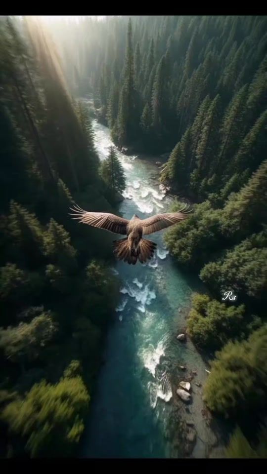 TikTok video thumbnail by rosyhernandez8316