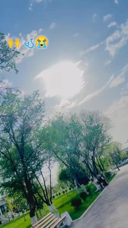 TikTok video thumbnail by drabidmukhtarsewag