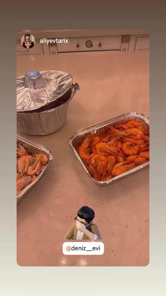 TikTok video thumbnail by deniz_evi