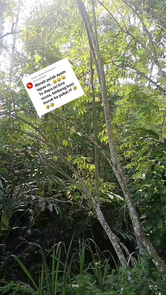 TikTok video thumbnail by sakadusun
