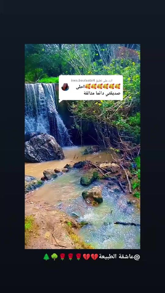 TikTok video thumbnail by ines.boulaabi4
