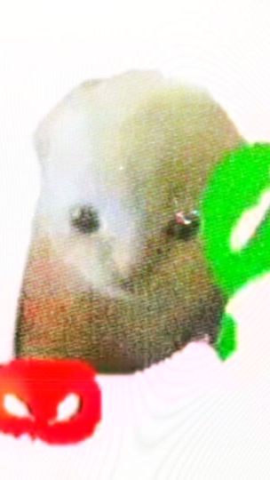 TikTok video thumbnail by rivavavavava