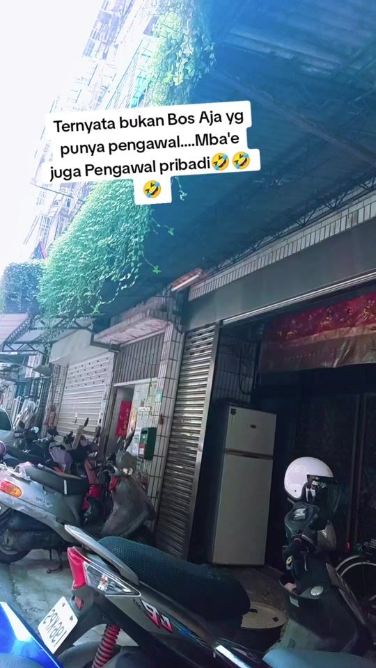 TikTok video thumbnail by lesungplatg