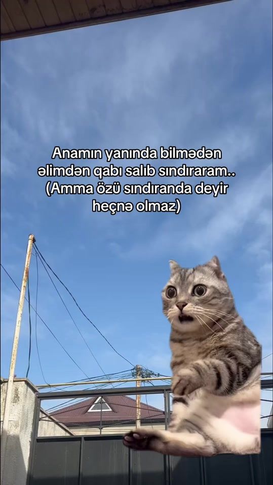 TikTok video thumbnail by emrahqas_ov