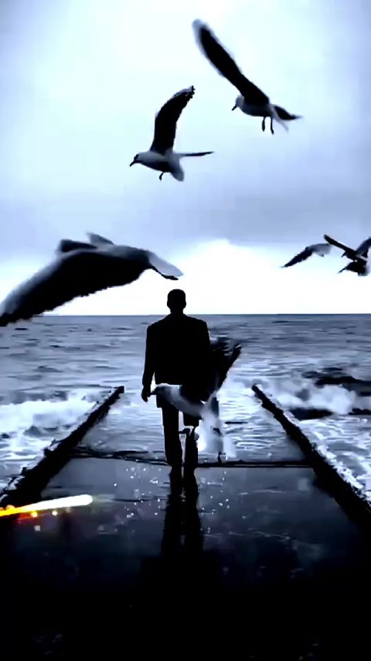 TikTok video thumbnail by agirdamarsayfa34