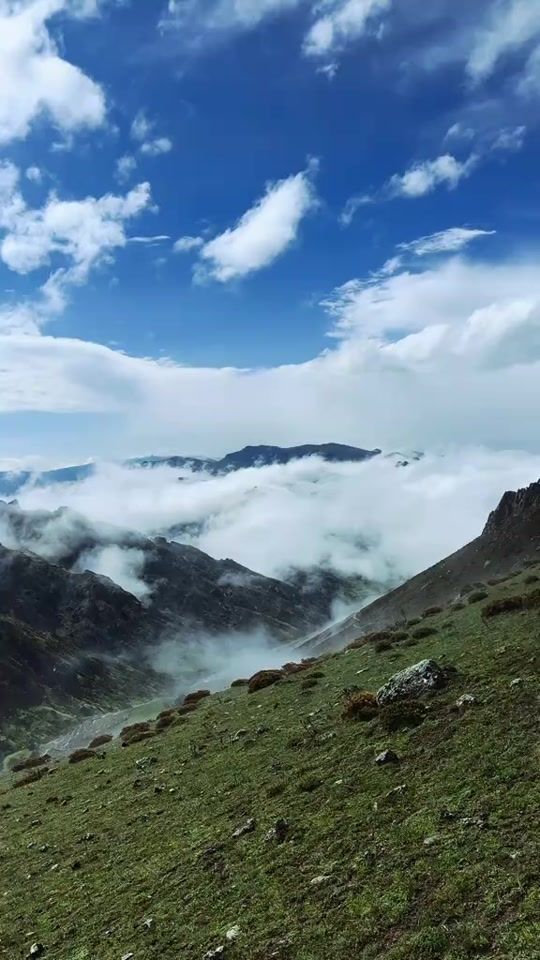 TikTok video thumbnail by vusal_derya