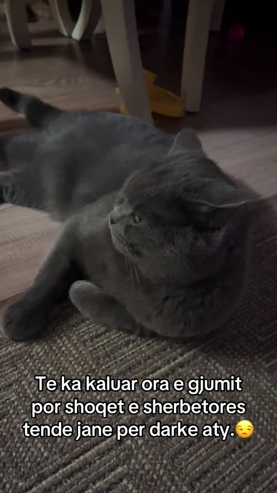 TikTok video thumbnail by hugoandoto