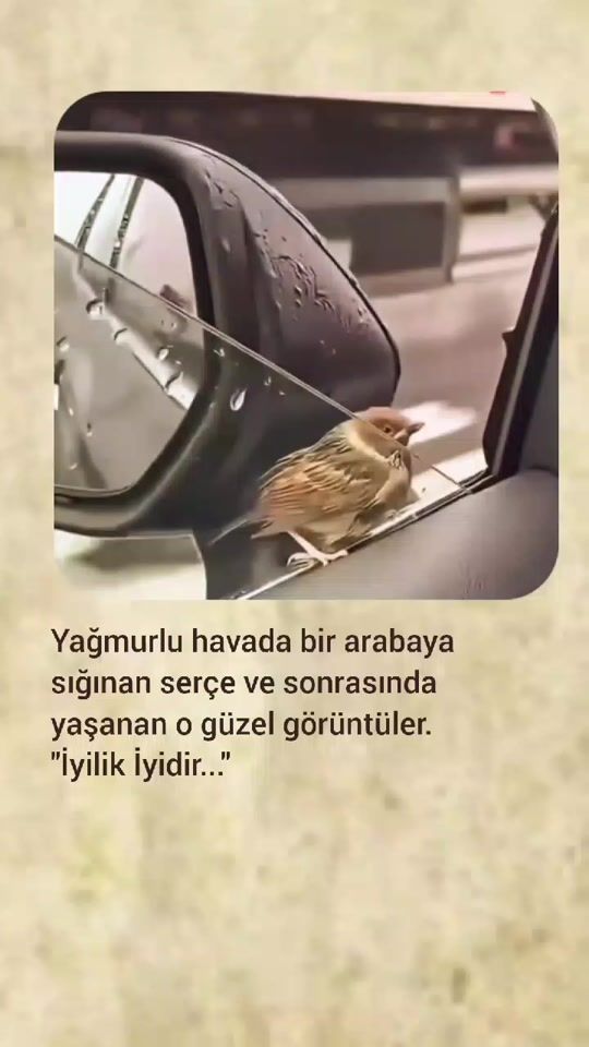 TikTok video thumbnail by gulll.beya