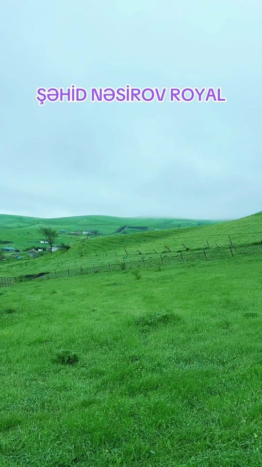 TikTok video thumbnail by fuadoglu_15