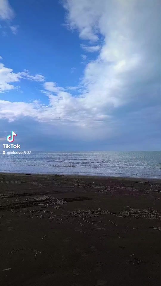 TikTok video thumbnail by elsever907