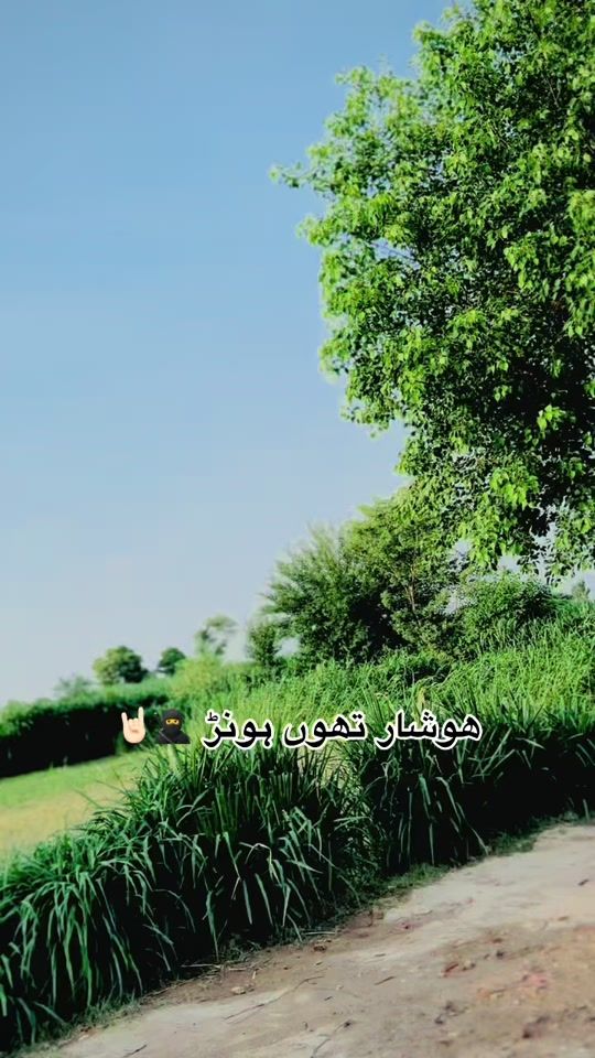 TikTok video thumbnail by abubakargarwan_bwp