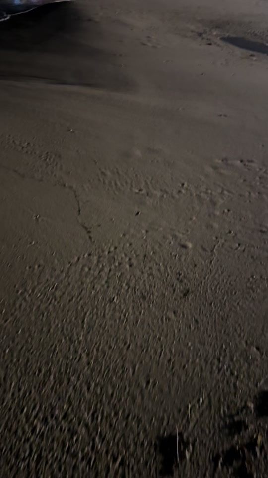 TikTok video thumbnail by _lilly_398