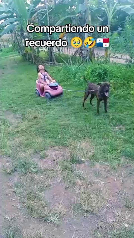 TikTok video thumbnail by anayansipardo_0811