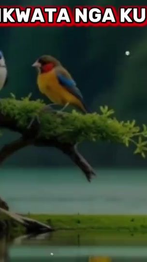 TikTok video thumbnail by gid587