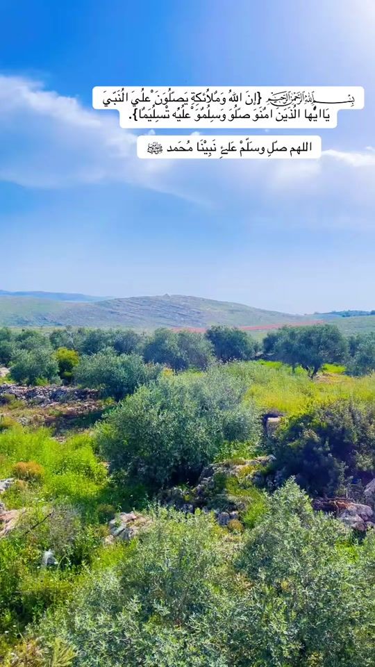 TikTok video thumbnail by .afeef_al_asmar