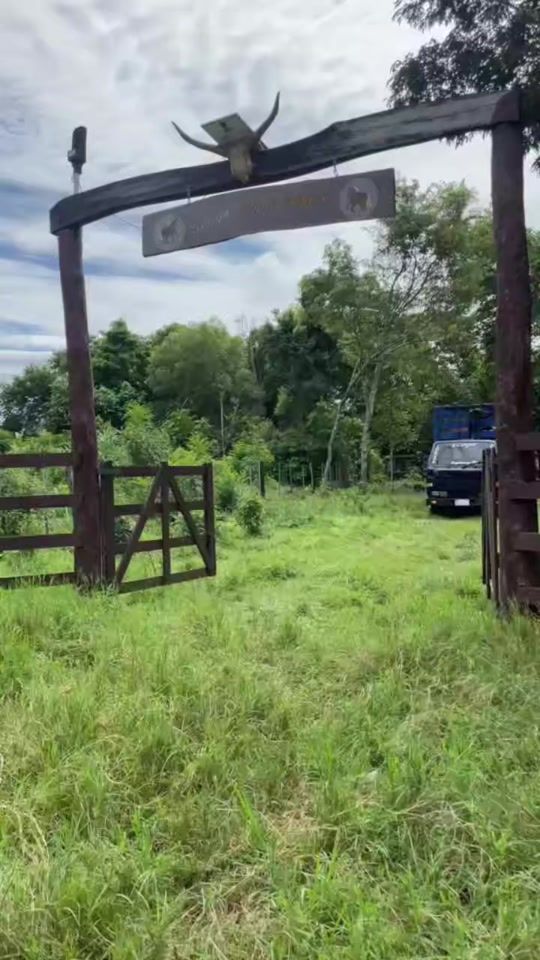 TikTok video thumbnail by edgargayoso778