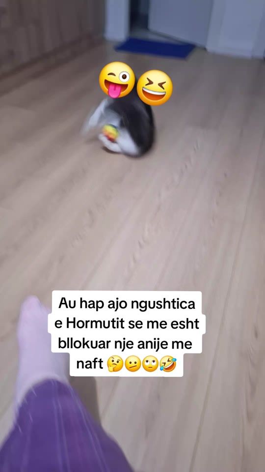TikTok video thumbnail by saria_1.2.3