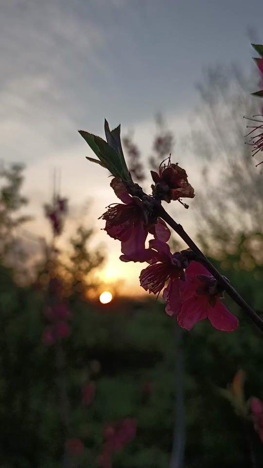 TikTok video thumbnail by iyun.27