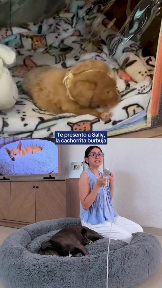 TikTok video thumbnail by furbedz