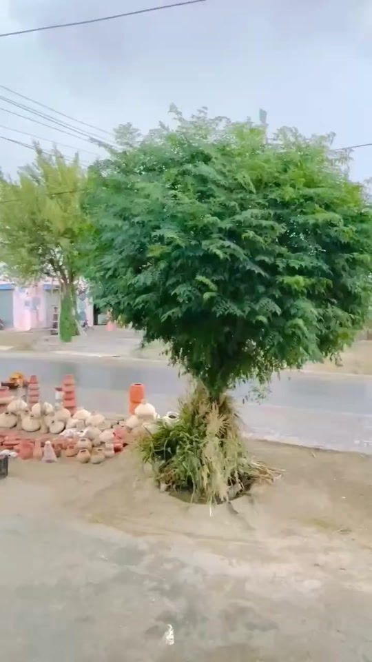 TikTok video thumbnail by ayesha_6784