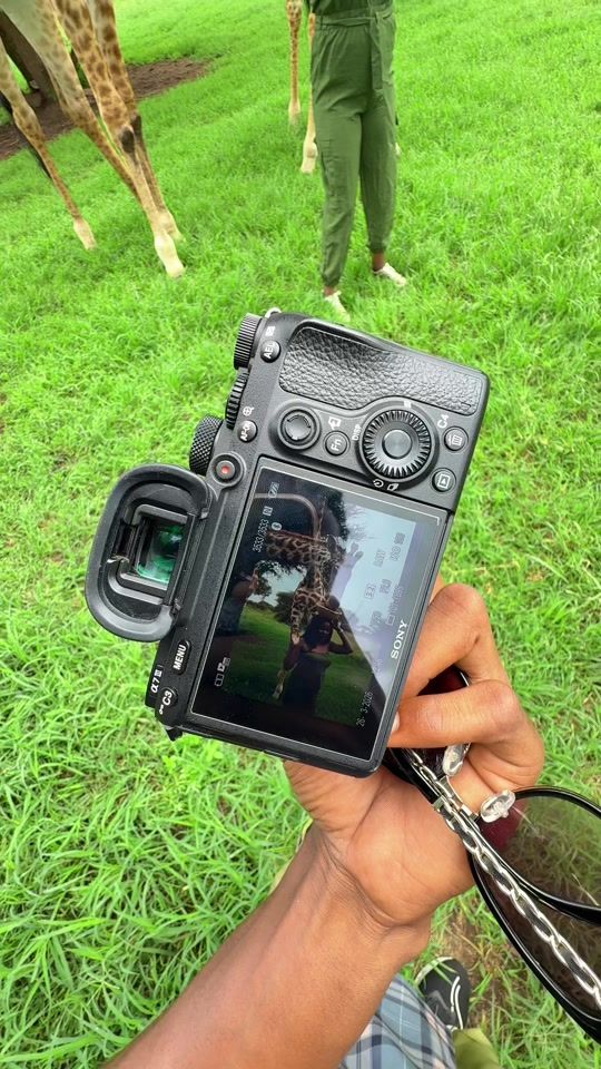 TikTok video thumbnail by deking_shot_it