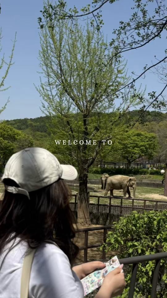 TikTok video thumbnail by itsnika_tt