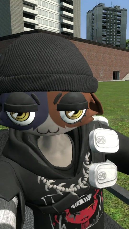 TikTok video thumbnail by monke_.gmod