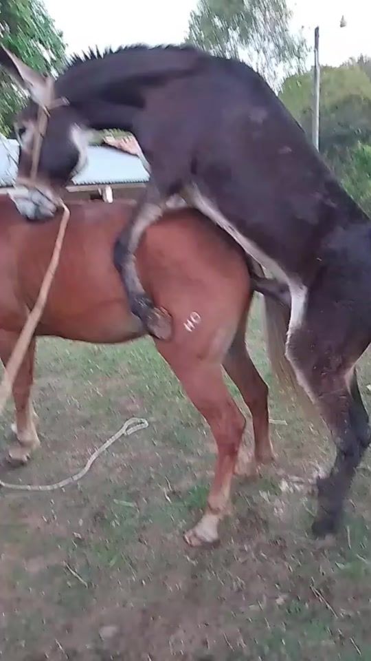 TikTok video thumbnail by adelsodukevalle