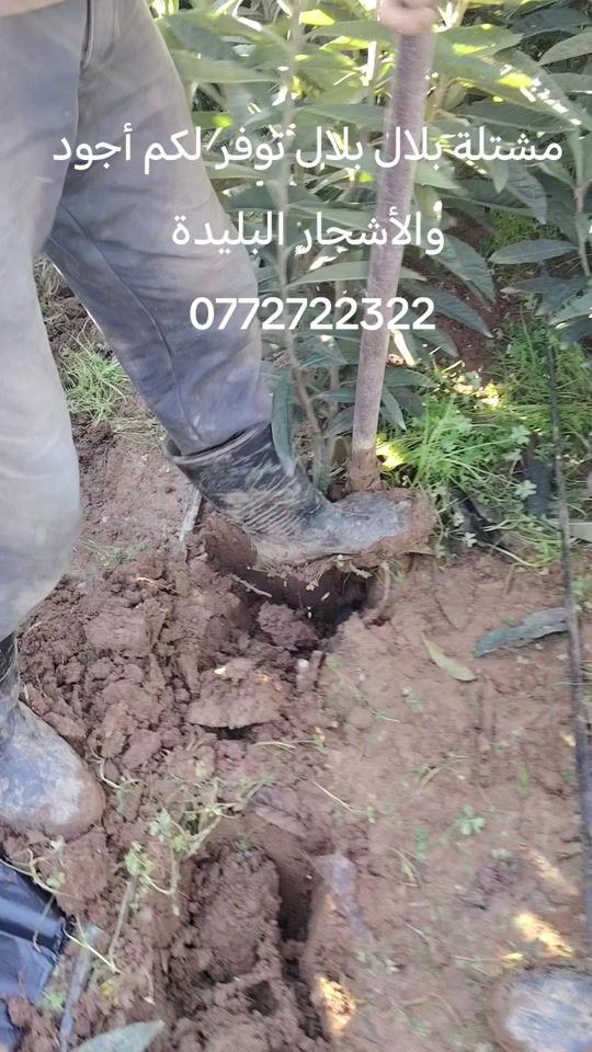 TikTok video thumbnail by user316800047