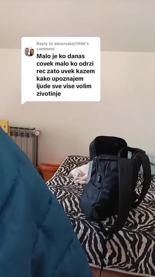 TikTok video thumbnail by dragan_kolja