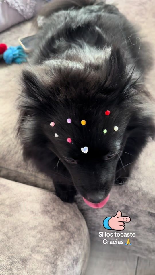 TikTok video thumbnail by mokiypepsi