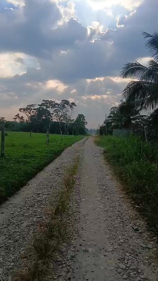 TikTok video thumbnail by ysrobinsonlar