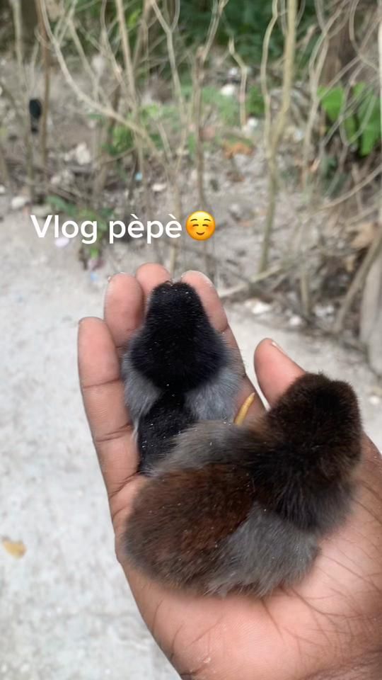TikTok video thumbnail by eldyy509