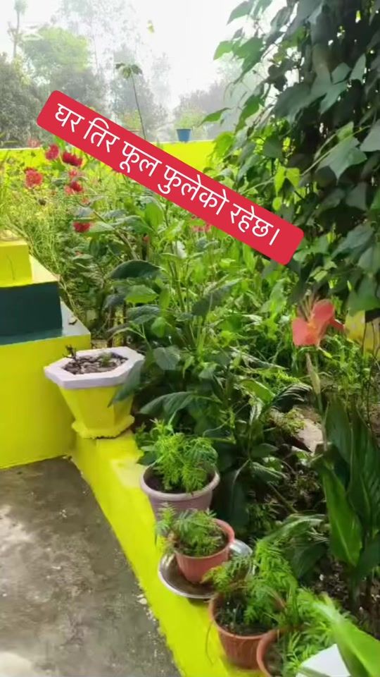 TikTok video thumbnail by rabinnath60