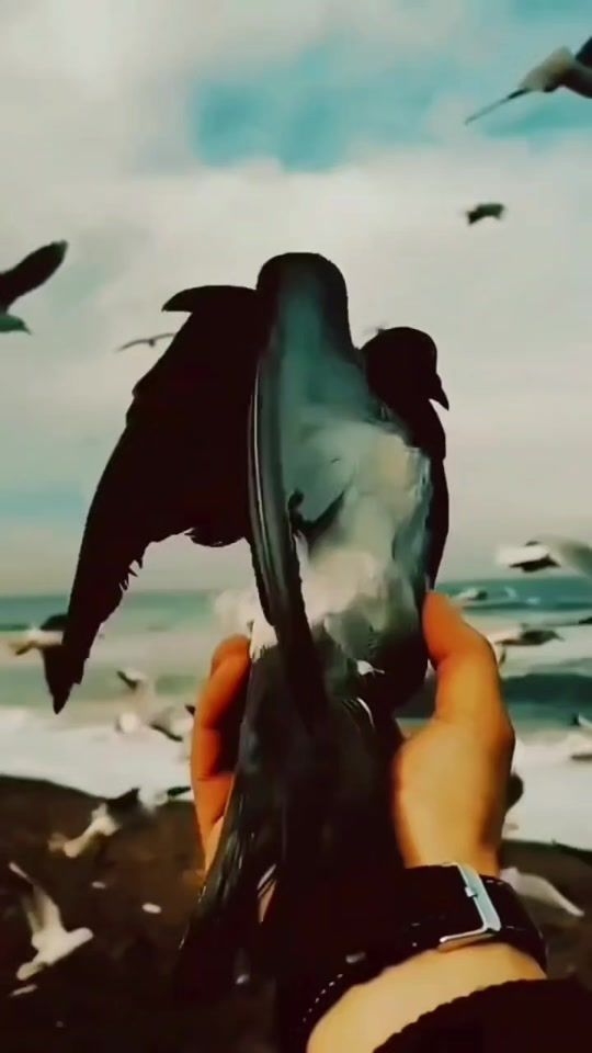 TikTok video thumbnail by fahad__.95