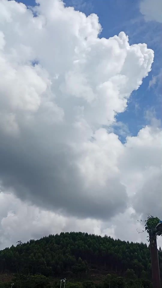 TikTok video thumbnail by _dora502