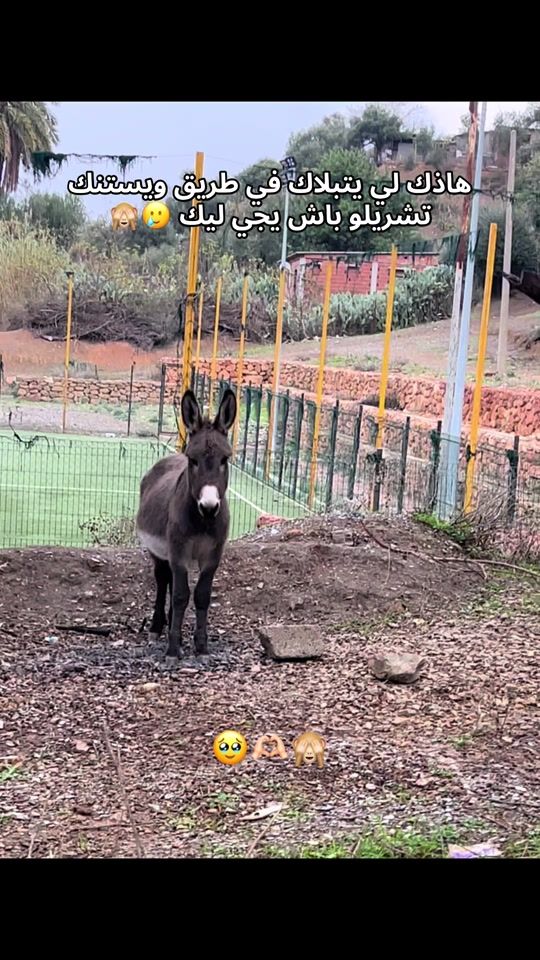 TikTok video thumbnail by ffilip_x