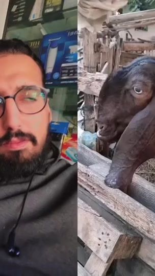 TikTok video thumbnail by yassinetataoui5