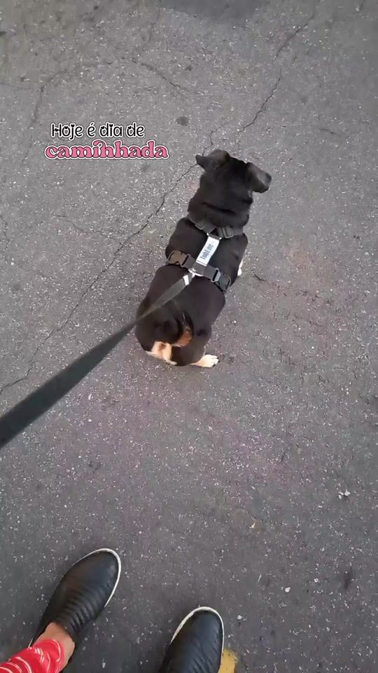 TikTok video thumbnail by chiq410