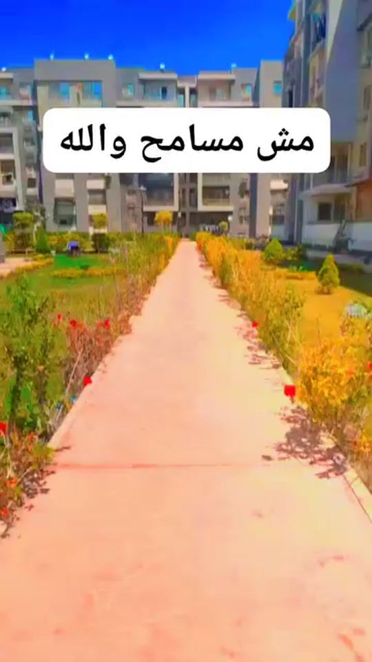 TikTok video thumbnail by assistant.wassim