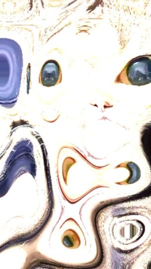 TikTok video thumbnail by mayabifalaak