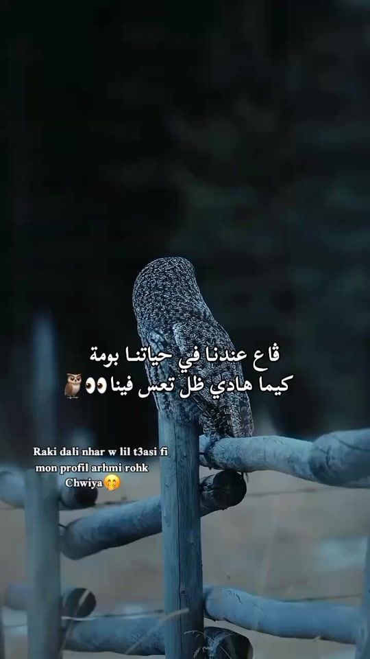TikTok video thumbnail by lydia235534