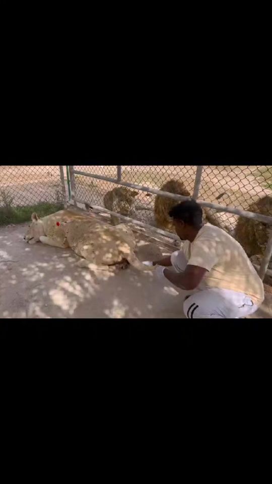 TikTok video thumbnail by mansur.aggaro