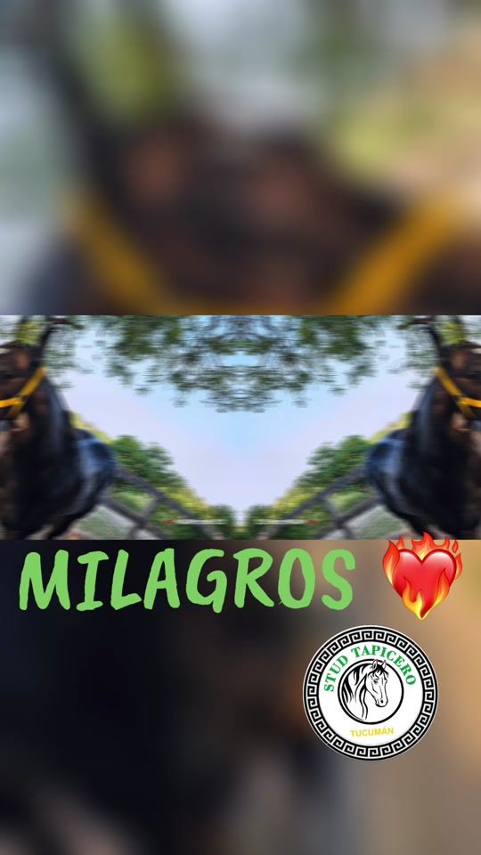 TikTok video thumbnail by studtapicero2025
