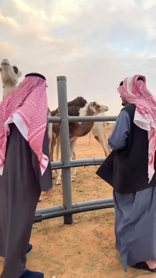 TikTok video thumbnail by brs_1873