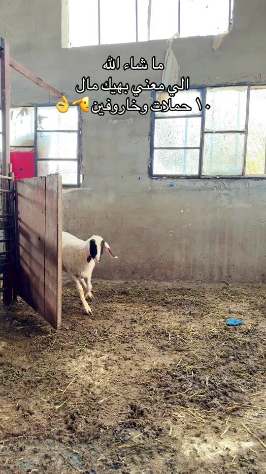 TikTok video thumbnail by naem_k