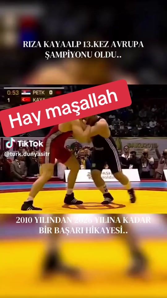 TikTok video thumbnail by interesting_walnuts