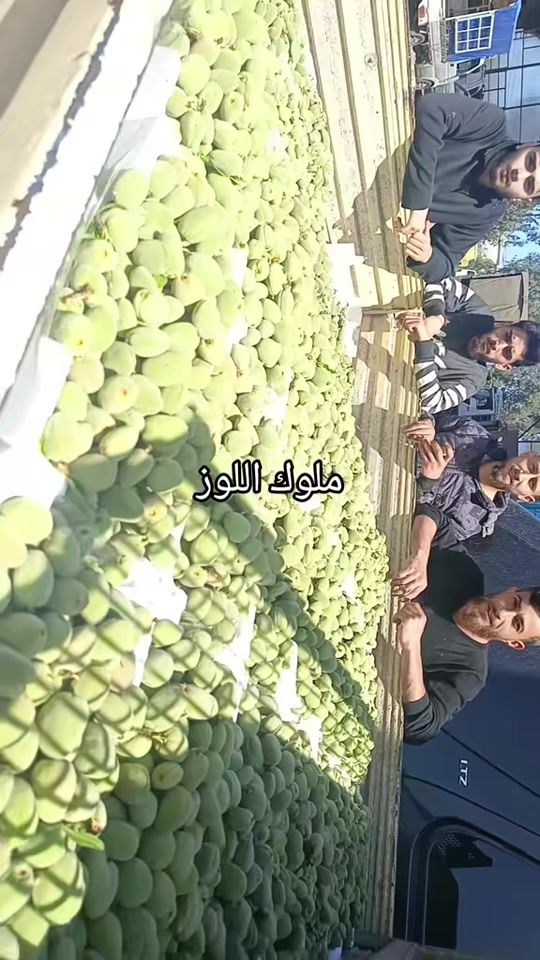 TikTok video thumbnail by aboukhalilklayme