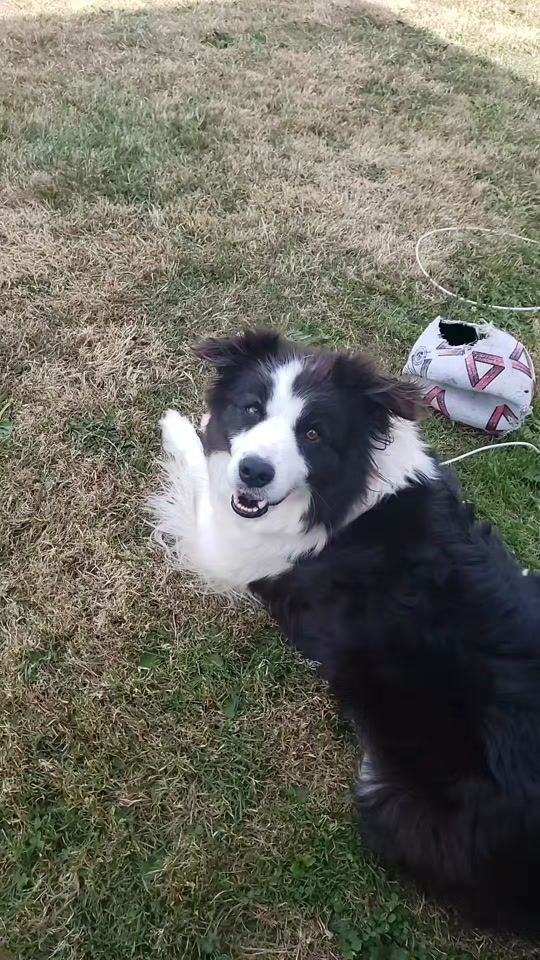 TikTok video thumbnail by reatarded_jacob